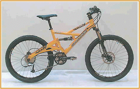 Cannondale gemini 1000 online